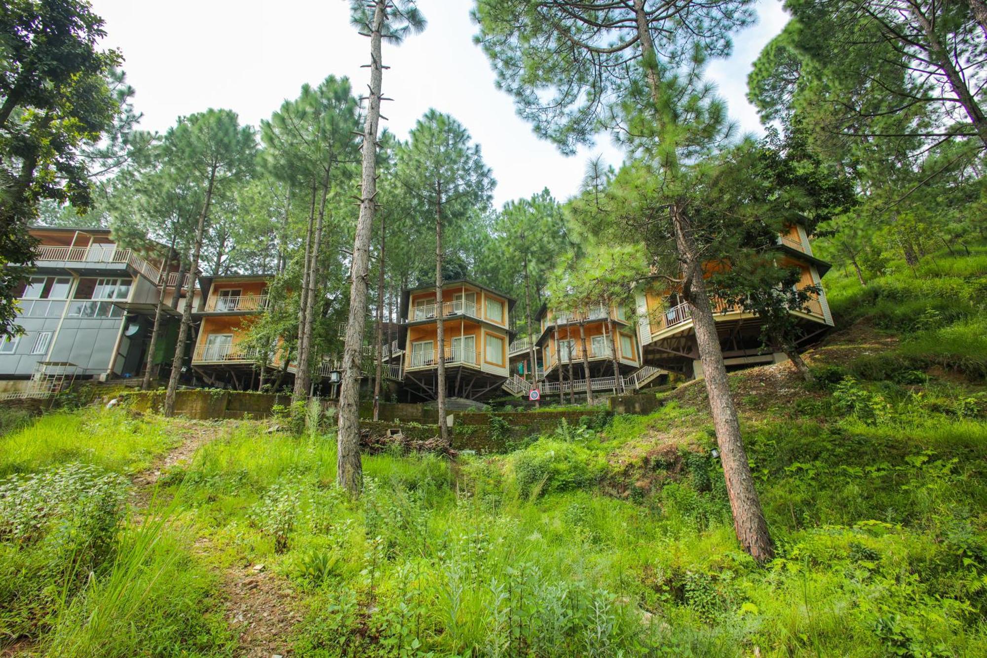 The Woods Retreat Hotel Lansdowne Buitenkant foto