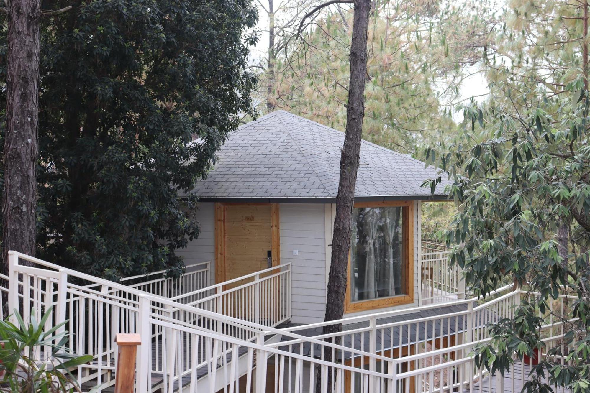 The Woods Retreat Hotel Lansdowne Buitenkant foto
